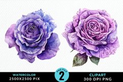 Watercolor Rose Vibrant Purple PNG Set Clipart Product Image 1