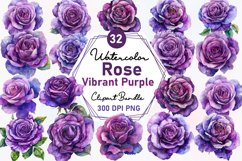 Watercolor Rose Flowers Clipart Bundle Product Image 1