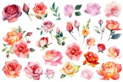 Roses clipart, Watercolor floral clipart Product Image 2