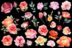 Roses clipart, Watercolor floral clipart Product Image 3