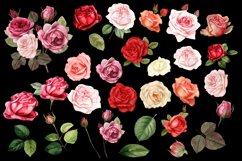 Watercolor floral clipart, Roses clipart Product Image 3