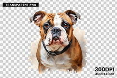watercolor french bulldog clipart, french bulldog png, bulldog sublimation design, dog clipart watercolor, frenchie dog png, watercolor pet clipart, bulldog digital download, dog lover sublimation, cute french bulldog art, french bulldog printable