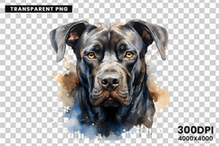 watercolor rottweiler clipart, rottweiler png, rottweiler sublimation design, dog clipart watercolor, guard dog digital art, rottweiler printable png, pet lover sublimation, rottweiler dog clipart, cute rottweiler art, rottweiler digital download