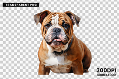 watercolor french bulldog clipart, french bulldog png, bulldog sublimation design, dog clipart watercolor, frenchie dog png, watercolor pet clipart, bulldog digital download, dog lover sublimation, cute french bulldog art, french bulldog printable