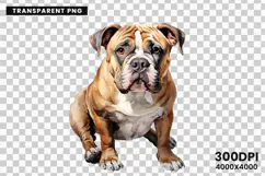 watercolor french bulldog clipart, french bulldog png, bulldog sublimation design, dog clipart watercolor, frenchie dog png, watercolor pet clipart, bulldog digital download, dog lover sublimation, cute french bulldog art, french bulldog printable