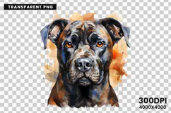 watercolor rottweiler clipart, rottweiler png, rottweiler sublimation design, dog clipart watercolor, guard dog digital art, rottweiler printable png, pet lover sublimation, rottweiler dog clipart, cute rottweiler art, rottweiler digital download