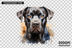 watercolor rottweiler clipart, rottweiler png, rottweiler sublimation design, dog clipart watercolor, guard dog digital art, rottweiler printable png, pet lover sublimation, rottweiler dog clipart, cute rottweiler art, rottweiler digital download