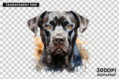 watercolor rottweiler clipart, rottweiler png, rottweiler sublimation design, dog clipart watercolor, guard dog digital art, rottweiler printable png, pet lover sublimation, rottweiler dog clipart, cute rottweiler art, rottweiler digital download