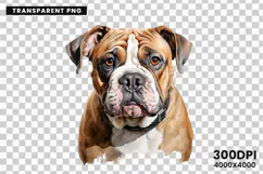 watercolor french bulldog clipart, french bulldog png, bulldog sublimation design, dog clipart watercolor, frenchie dog png, watercolor pet clipart, bulldog digital download, dog lover sublimation, cute french bulldog art, french bulldog printable