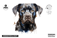 watercolor rottweiler clipart, rottweiler png, rottweiler sublimation design, dog clipart watercolor, guard dog digital art, rottweiler printable png, pet lover sublimation, rottweiler dog clipart, cute rottweiler art, rottweiler digital download