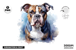 watercolor french bulldog clipart, french bulldog png, bulldog sublimation design, dog clipart watercolor, frenchie dog png, watercolor pet clipart, bulldog digital download, dog lover sublimation, cute french bulldog art, french bulldog printable