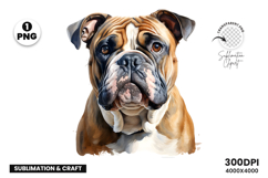 watercolor french bulldog clipart, french bulldog png, bulldog sublimation design, dog clipart watercolor, frenchie dog png, watercolor pet clipart, bulldog digital download, dog lover sublimation, cute french bulldog art, french bulldog printable