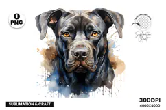 watercolor rottweiler clipart, rottweiler png, rottweiler sublimation design, dog clipart watercolor, guard dog digital art, rottweiler printable png, pet lover sublimation, rottweiler dog clipart, cute rottweiler art, rottweiler digital download