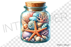 Starfish seashell in cork bottle PNG summer clipart conch Product Image 1