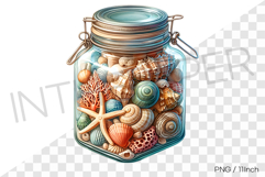 Shell and starfish in cylinder clip lid bottle PNG summer Product Image 1
