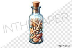 Long conch starfish in mini cork bottle PNG summer clipart Product Image 1