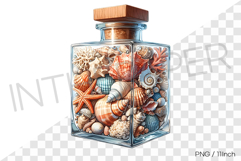 Filled shell and conch in flat square cork bottle PNG summer Product Image 1