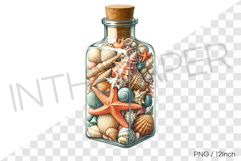 Stacked conch starfish in cylinder cork bottle PNG summer Product Image 1