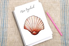 Watercolor Seashell Clipart Bundle Product Image 3