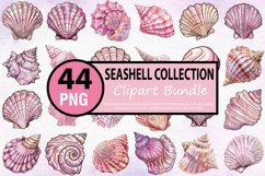 Watercolor Seashell Clipart Bundle Product Image 1