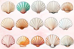 Watercolor Seashell Clipart Bundle Product Image 2
