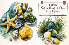 Watercolor Seashell On The Beach Clipart Product Image 1