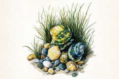 Watercolor Seashell On The Beach Clipart Product Image 2