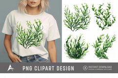 Watercolor Seaweed Clipart Product Image 1