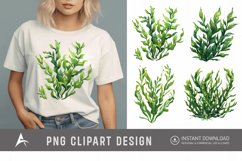 Watercolor Seaweed Clipart Product Image 1