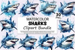 Watercolor Sharks Clipart Bundle Product Image 1