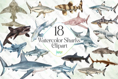 Watercolor Sharks Clipart Sublimation Product Image 1
