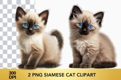 2 png Watercolor Siamese Cat Clipart Product Image 1