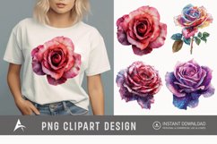 Watercolor Singe Cosmic Rose Flower Clipart Product Image 1