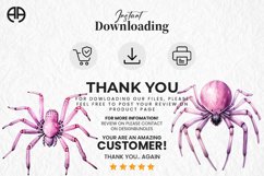 watercolor spider png
