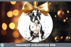 GorgeousWatercolor Splash Ornament design.
