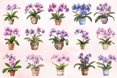 Watercolor Spotted Orchid in Pot Clipart Bundle Product Image 3