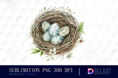 Spring Bird Nest Sublimation PNG Clipart Product Image 1
