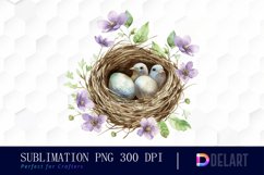 Spring Bird Nest Watercolor Clipart Product Image 1