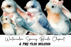Watercolor Spring Birds Clipart Product Image 1