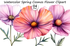 Watercolor Spring Cosmos Flower Clipart Product Image 1