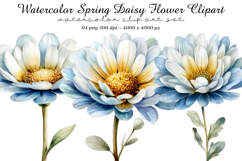 Watercolor Spring Daisy Flower Clipart Product Image 1