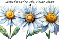 Watercolor Spring Daisy Flower Clipart Product Image 1