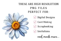 Watercolor Spring Daisy Flower Clipart Product Image 2