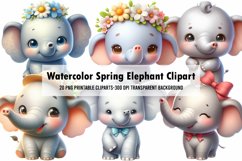 Watercolor Spring Elephant Clipart Product Image 1