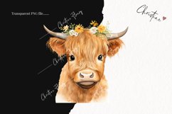 Spring Highland Cow PNG | Spring PNG Product Image 2