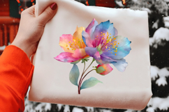 Watercolor Spring Rainbow Flower Clipart Product Image 2