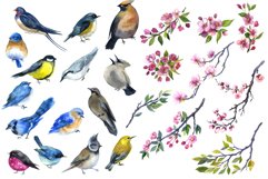 Watercolor spring clipart, watercolor cute birds png Flowers Product Image 2