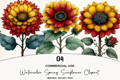 Watercolor Spring Sunflower Clipart Product Image 1