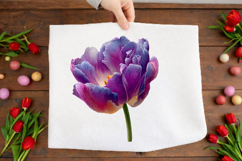 watercolor spring tulips clipart Product Image 2
