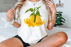 Watercolor Squash Blossom Clipart Bundle Product Image 2